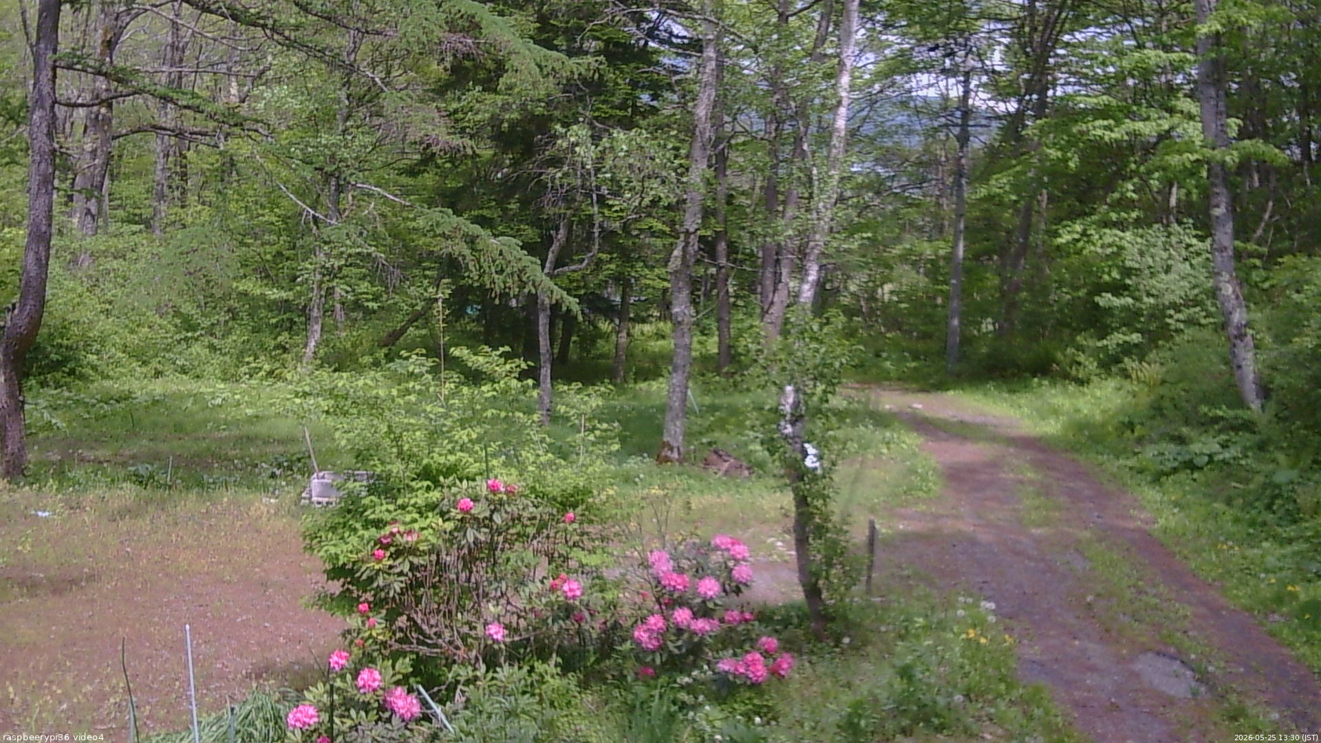 長野県菅平高原 ゆたか山荘 坂上 2026/05/25 13:30
