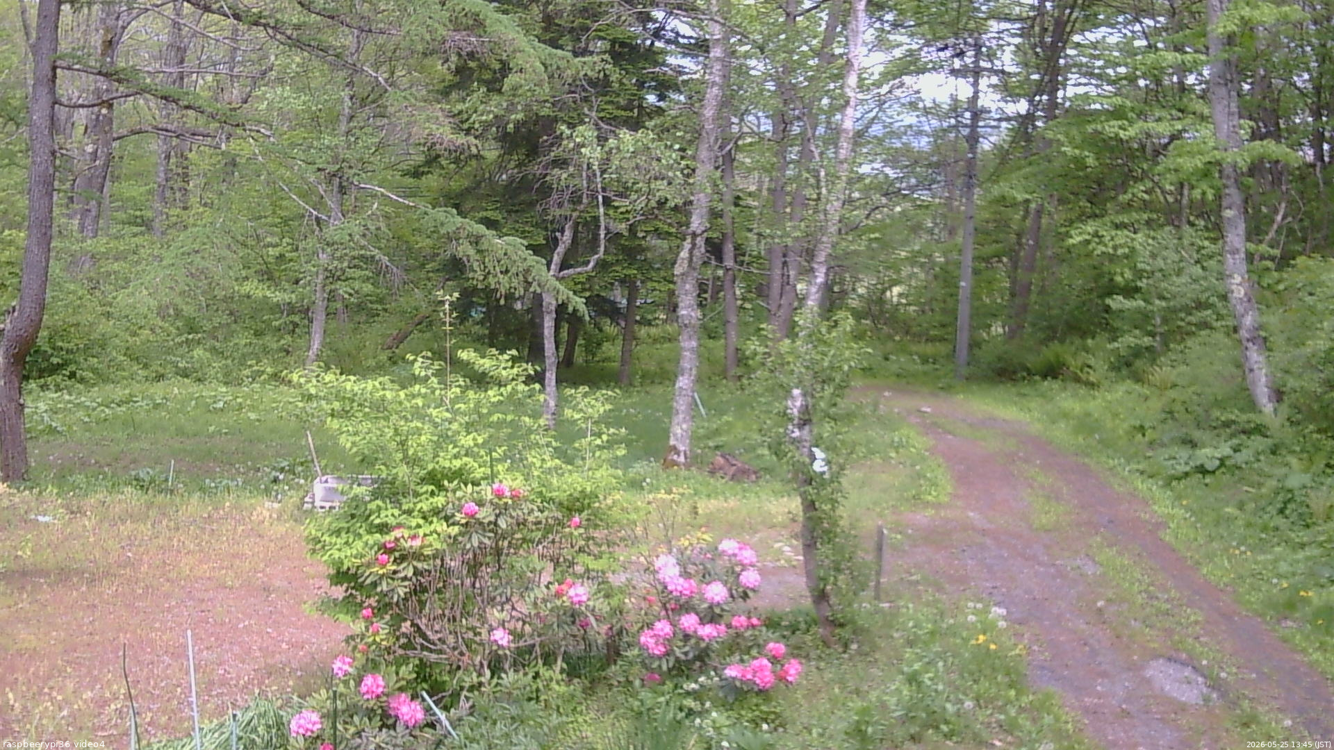 長野県菅平高原 ゆたか山荘 坂上 2026/05/25 13:45