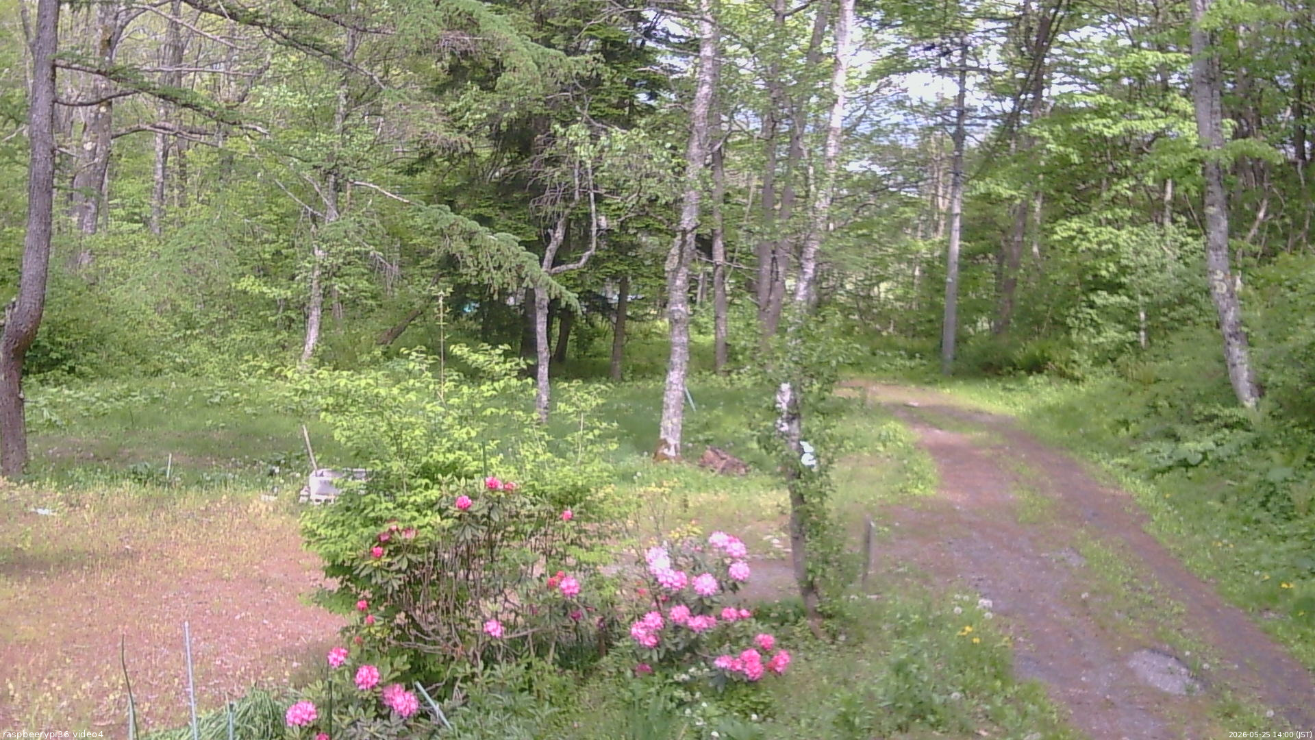 長野県菅平高原 ゆたか山荘 坂上 2026/05/25 14:00