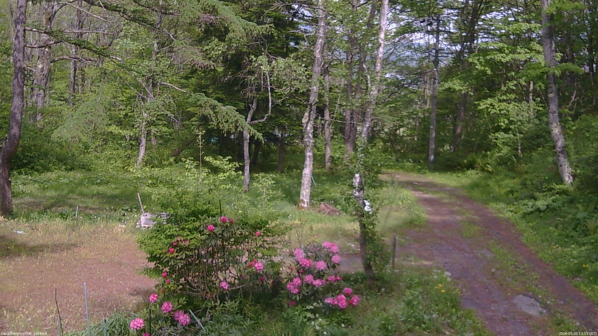 長野県菅平高原 ゆたか山荘 坂上 2026/05/25 14:15