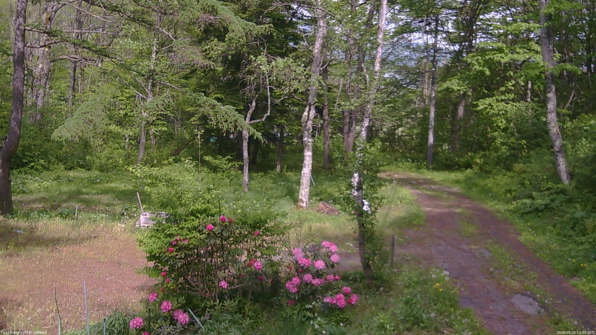長野県菅平高原 ゆたか山荘 坂上 2026/05/25 14:30