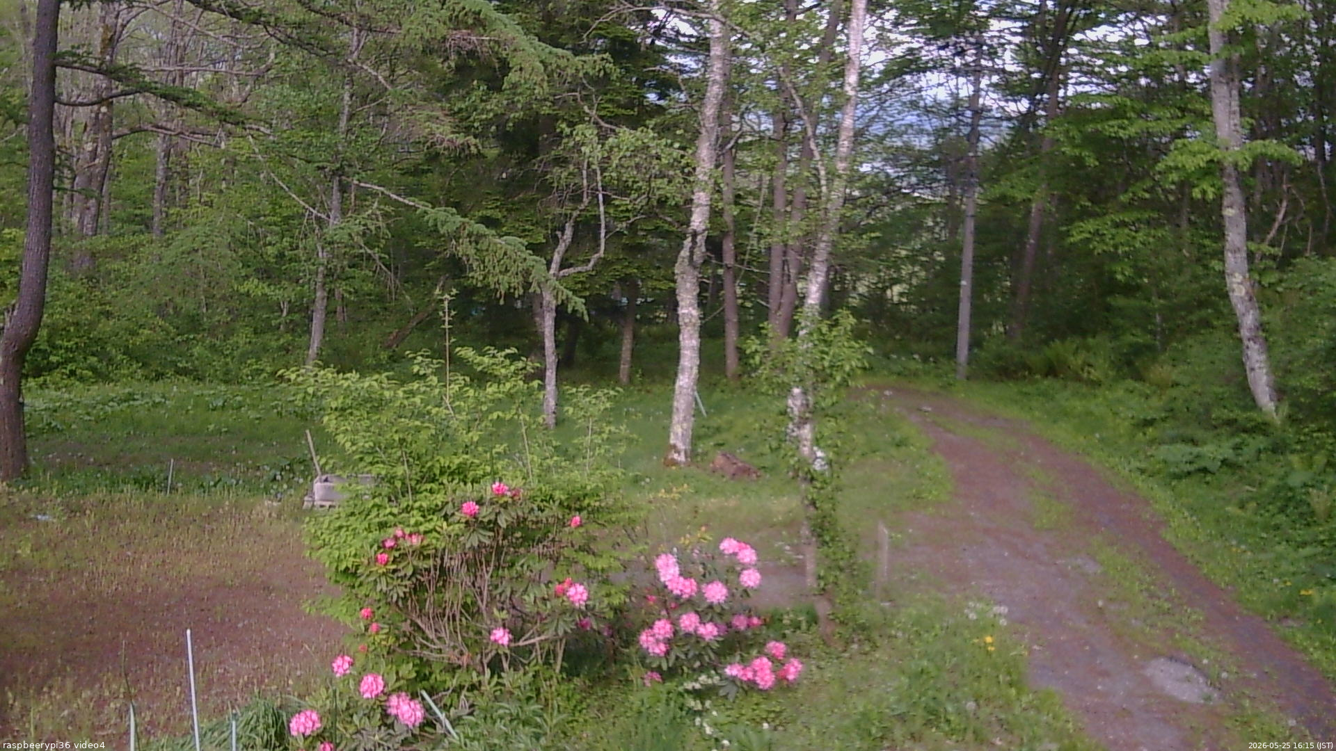 長野県菅平高原 ゆたか山荘 坂上 2026/05/25 16:15