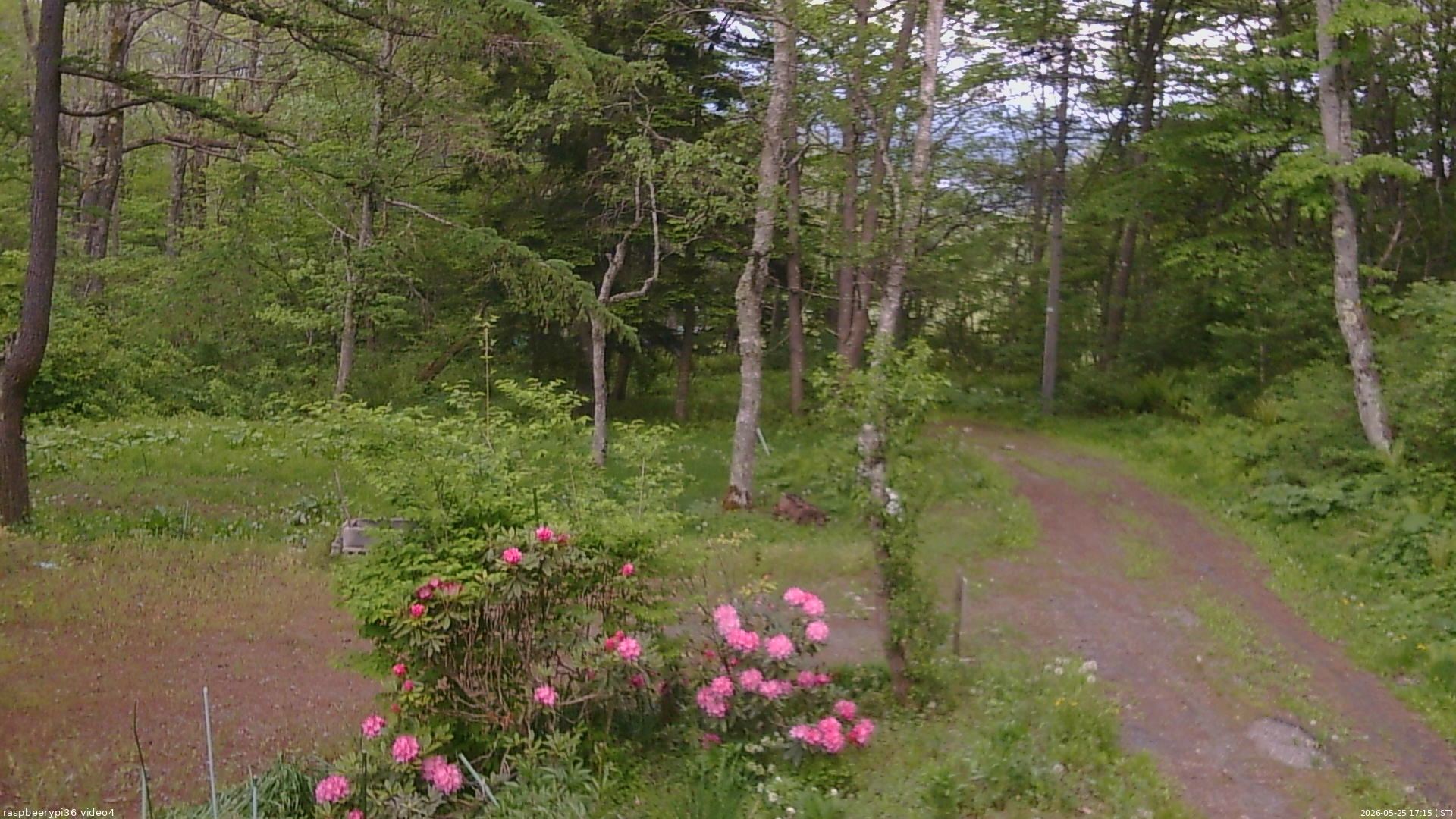 長野県菅平高原 ゆたか山荘 坂上 2026/05/25 17:15