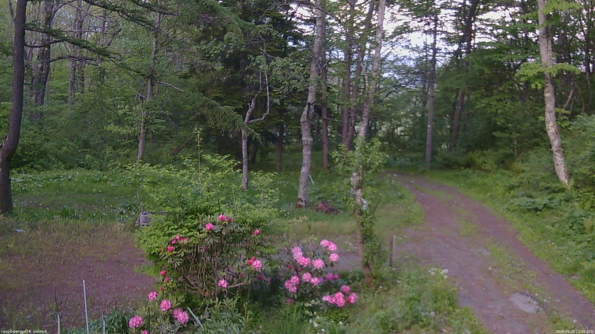 長野県菅平高原 ゆたか山荘 坂上 2026/05/25 17:45