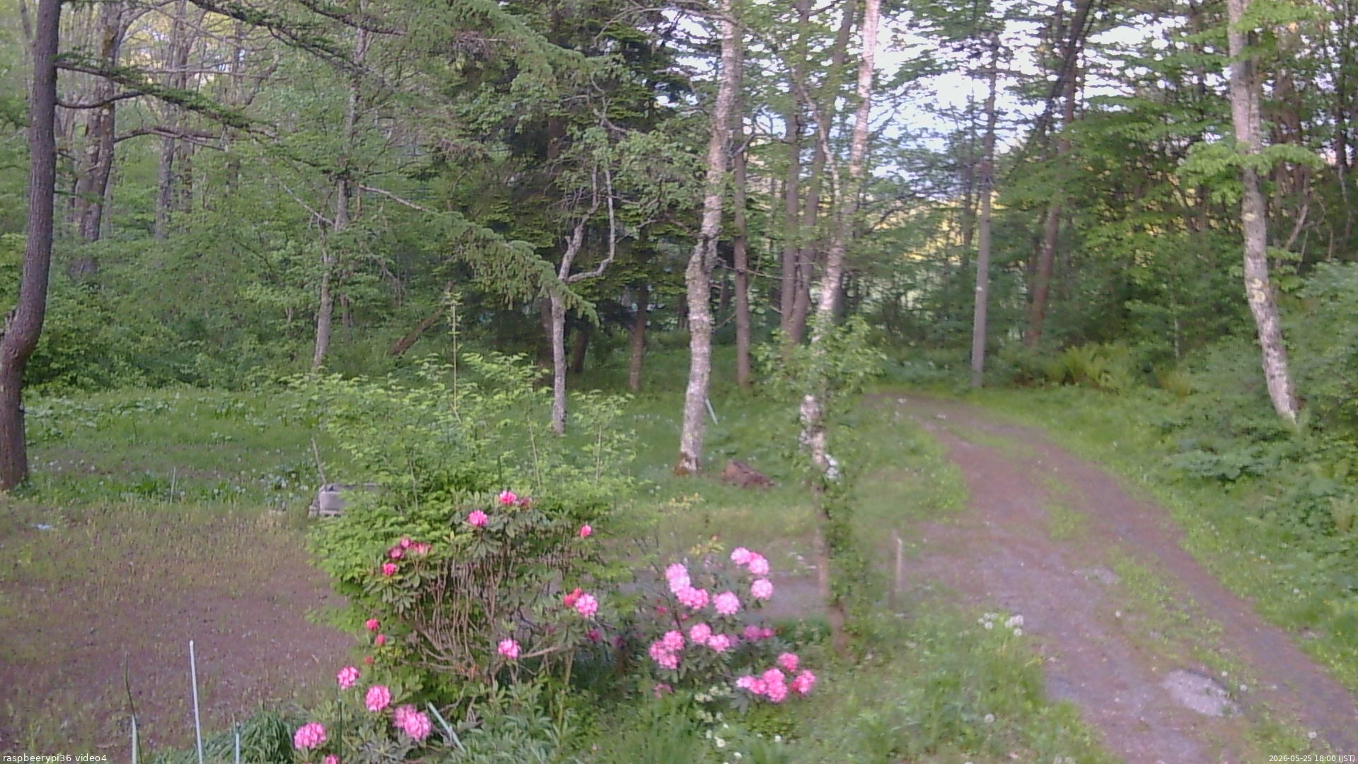 長野県菅平高原 ゆたか山荘 坂上 2026/05/25 18:00