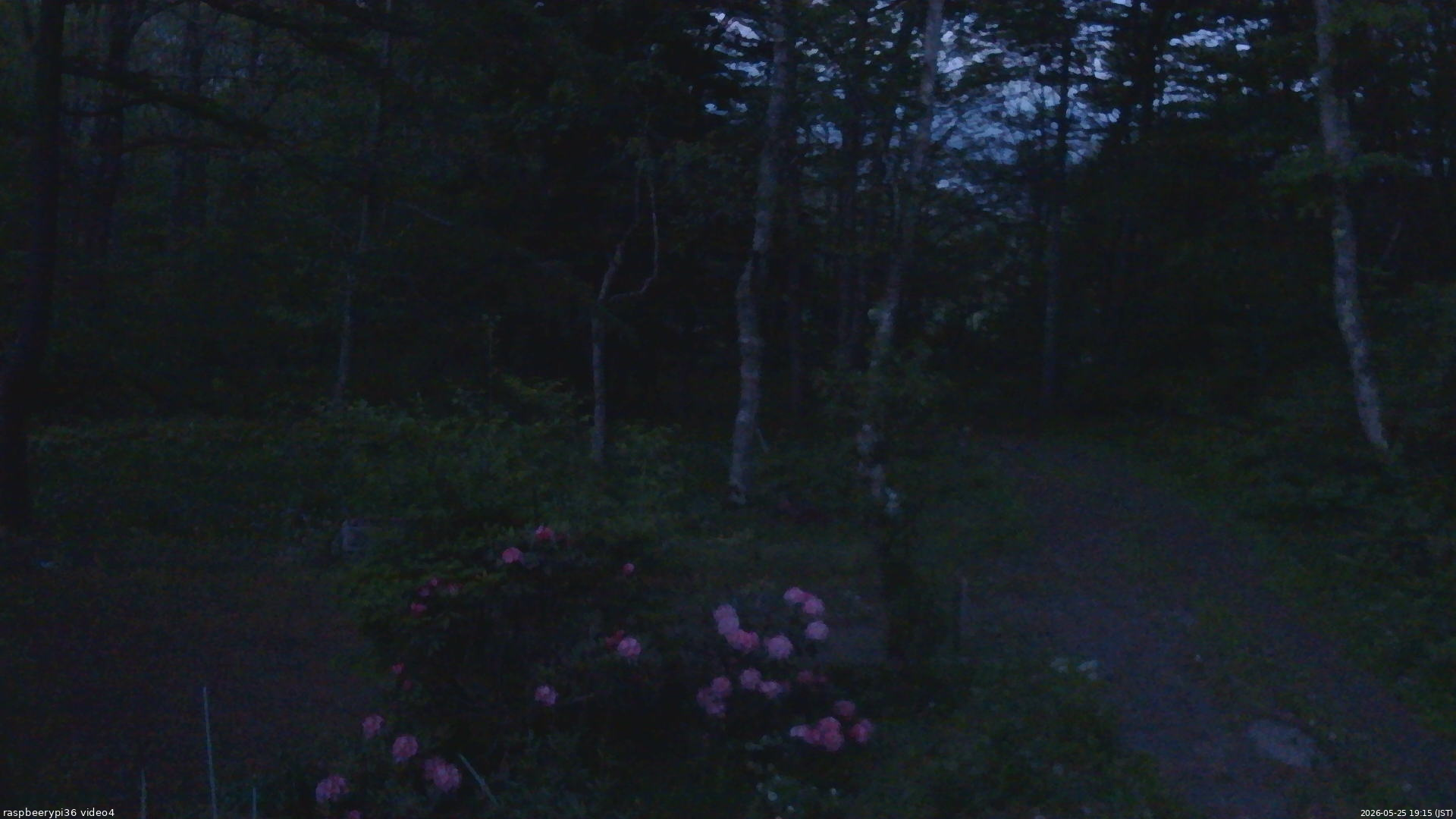 長野県菅平高原 ゆたか山荘 坂上 2026/05/25 19:15