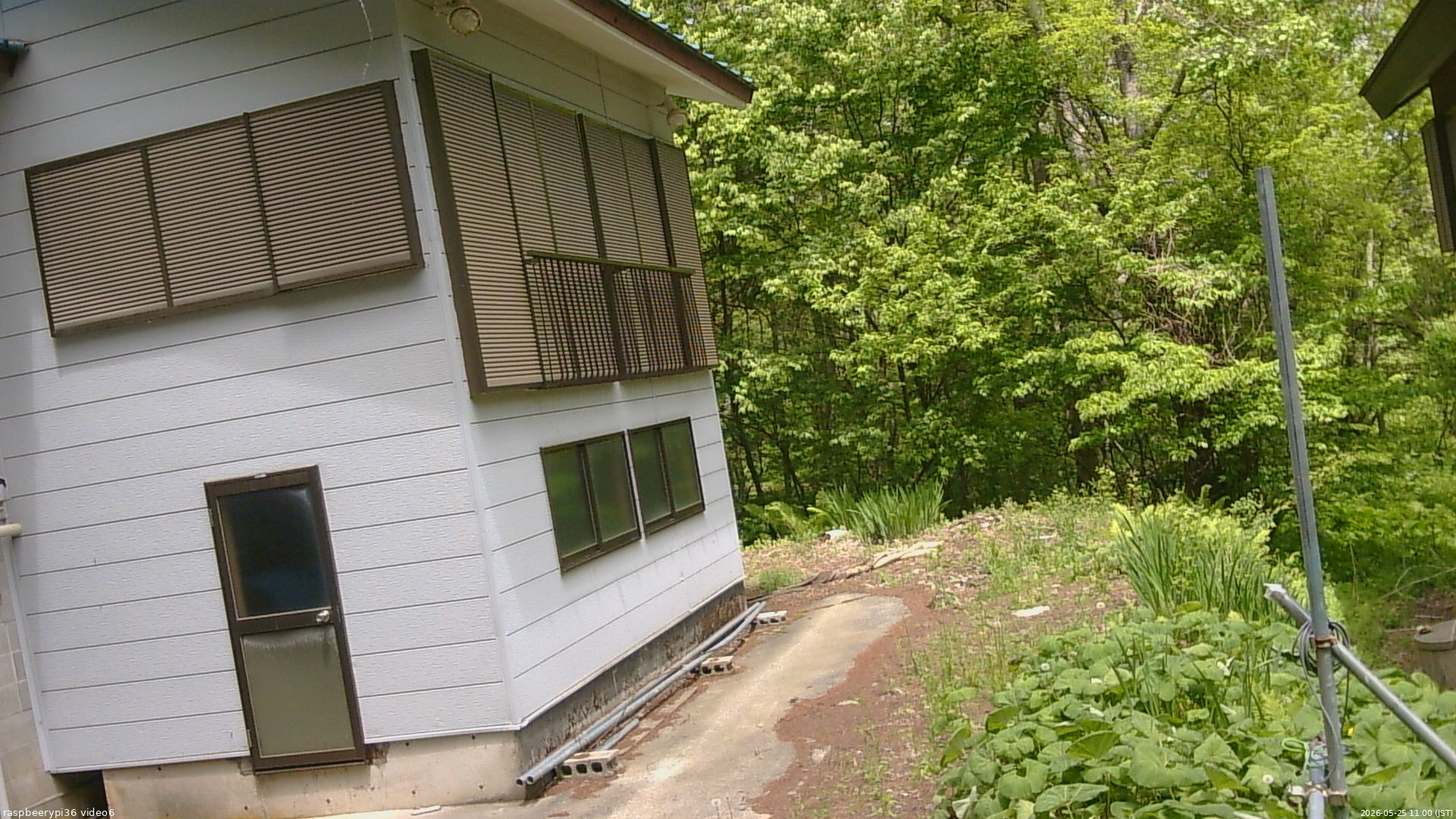 長野県菅平高原 ゆたか山荘 坂下 2026/05/25 11:00