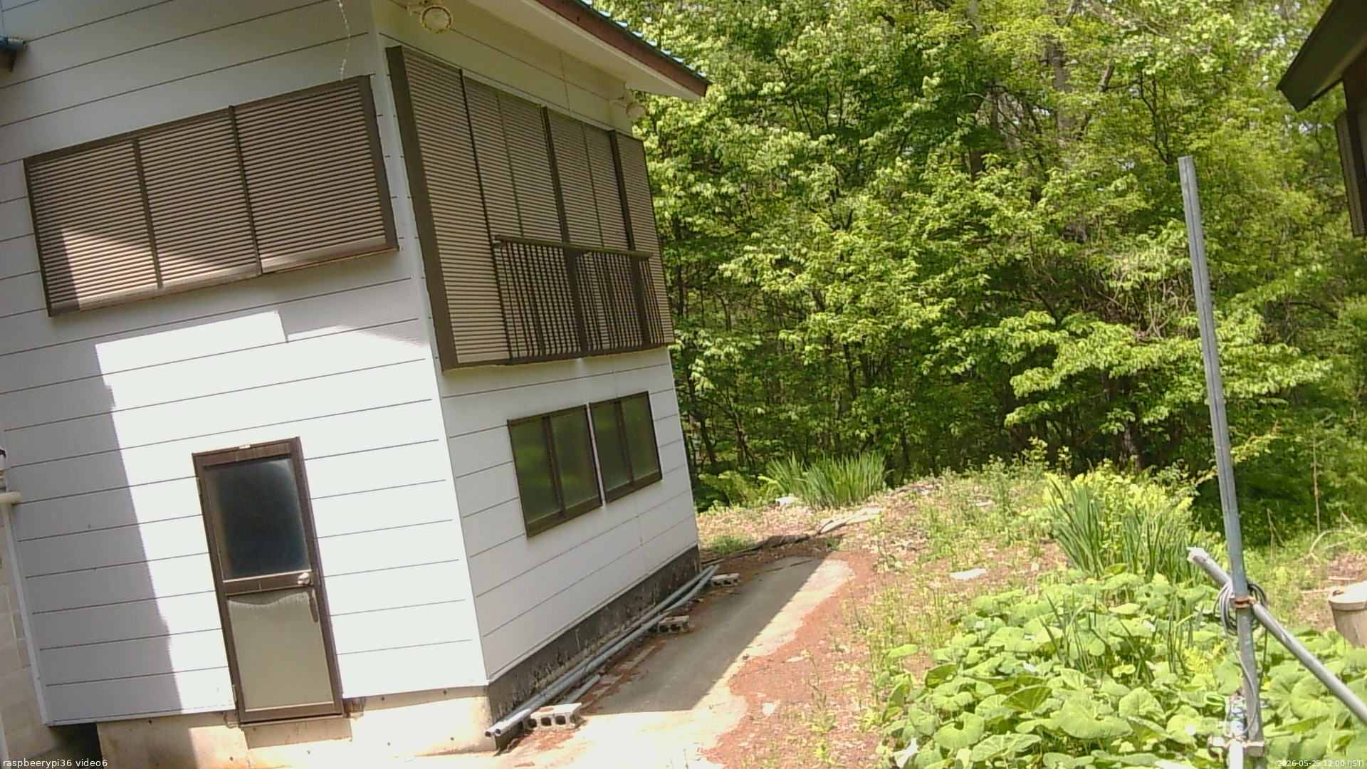 長野県菅平高原 ゆたか山荘 坂下 2026/05/25 12:00