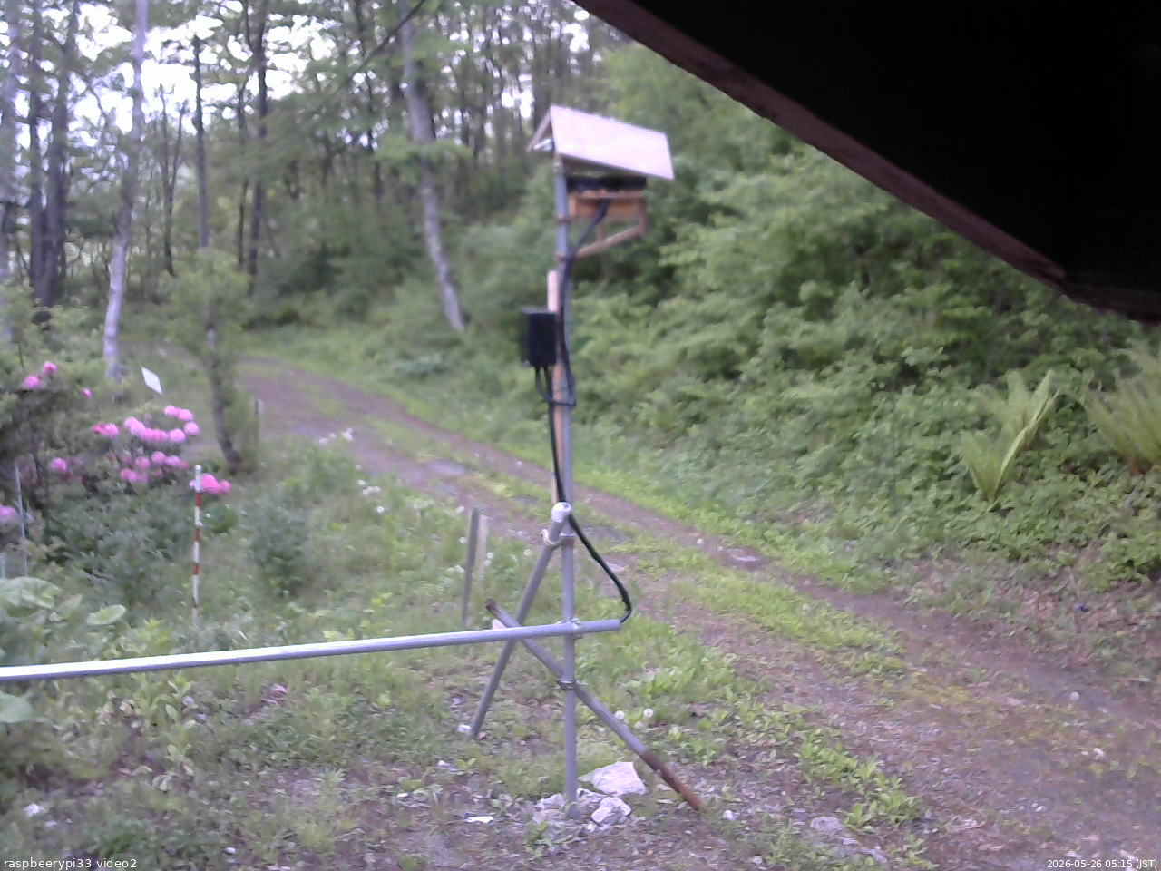 長野県菅平高原 ゆたか山荘 南側 2026/05/26 05:15