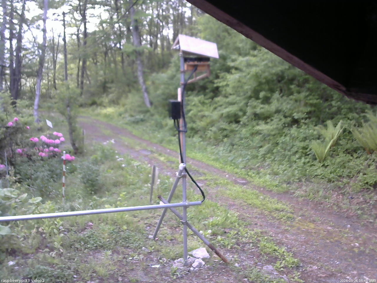 長野県菅平高原 ゆたか山荘 南側 2026/05/26 05:45