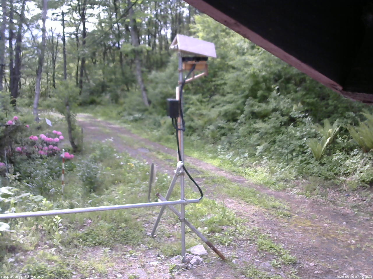 長野県菅平高原 ゆたか山荘 南側 2026/05/26 07:45