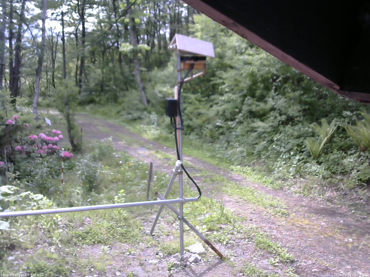 長野県菅平高原 ゆたか山荘 南側 2026/05/26 08:15
