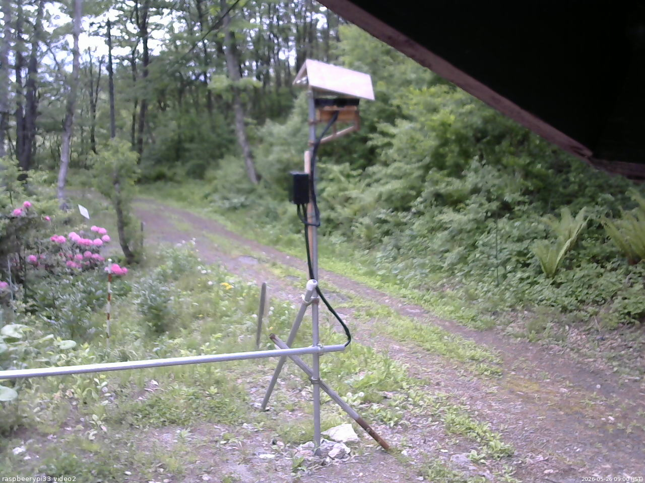 長野県菅平高原 ゆたか山荘 南側 2026/05/26 09:00