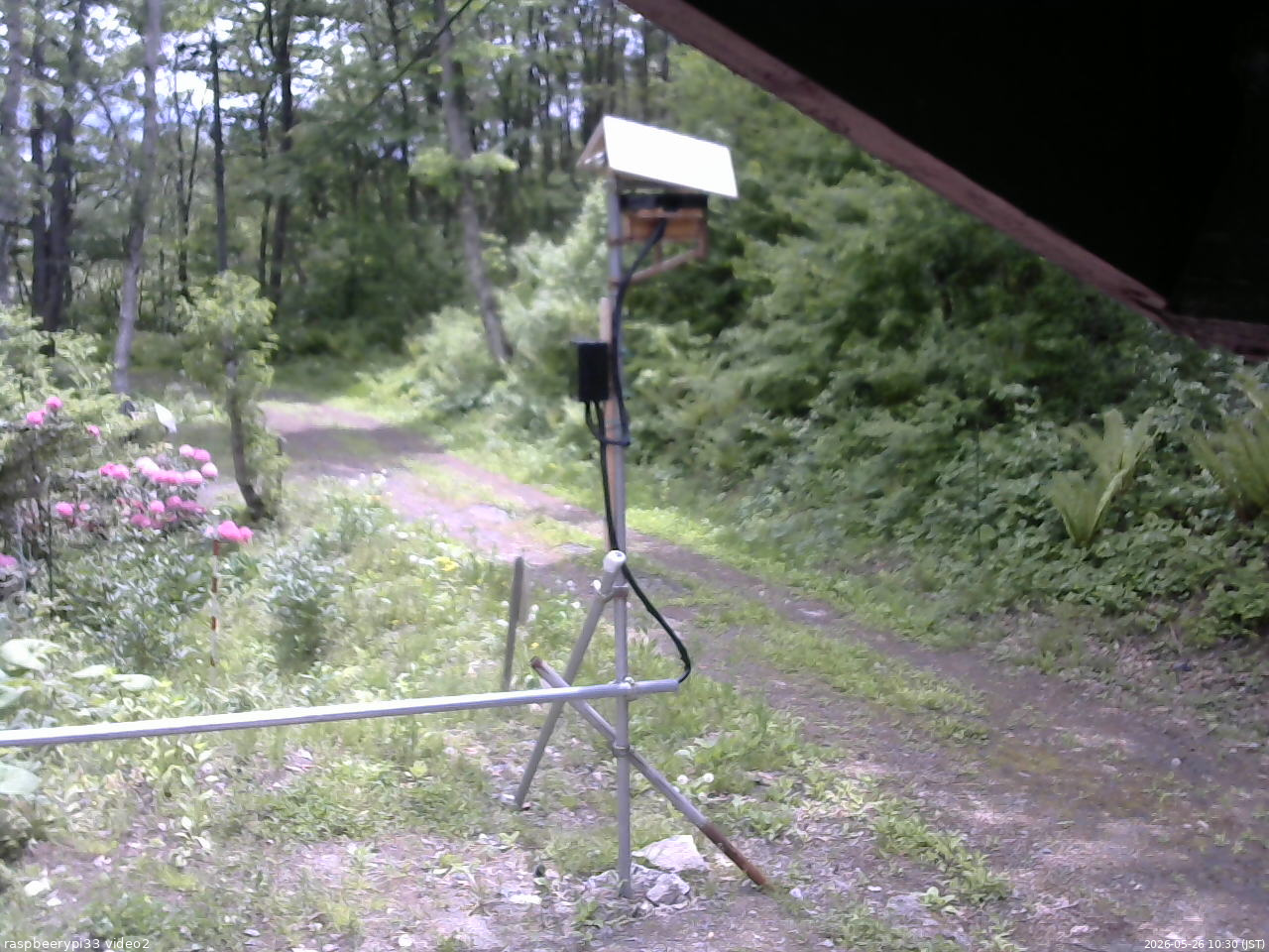 長野県菅平高原 ゆたか山荘 南側 2026/05/26 10:30