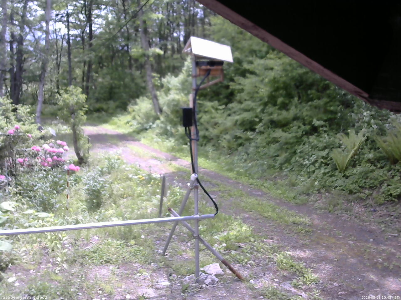 長野県菅平高原 ゆたか山荘 南側 2026/05/26 10:45