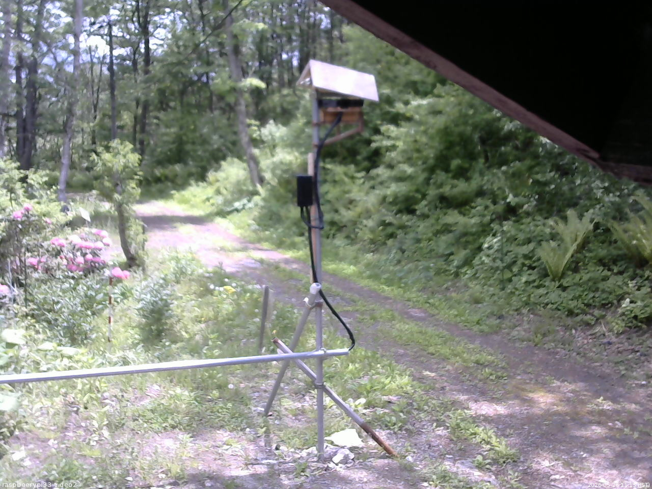 長野県菅平高原 ゆたか山荘 南側 2026/05/26 11:15