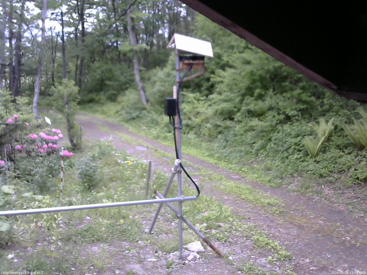 長野県菅平高原 ゆたか山荘 南側 2026/05/26 11:30