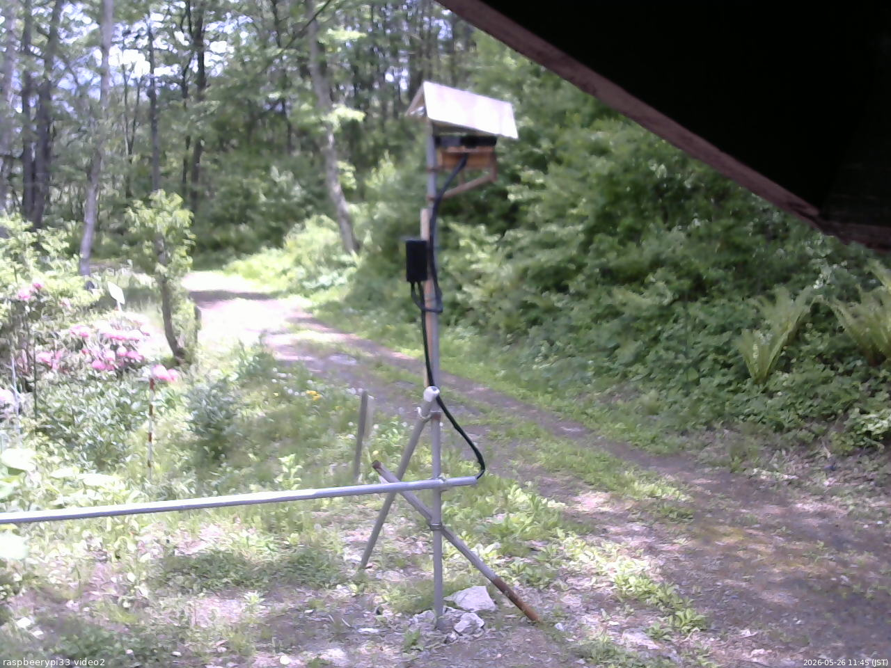 長野県菅平高原 ゆたか山荘 南側 2026/05/26 11:45