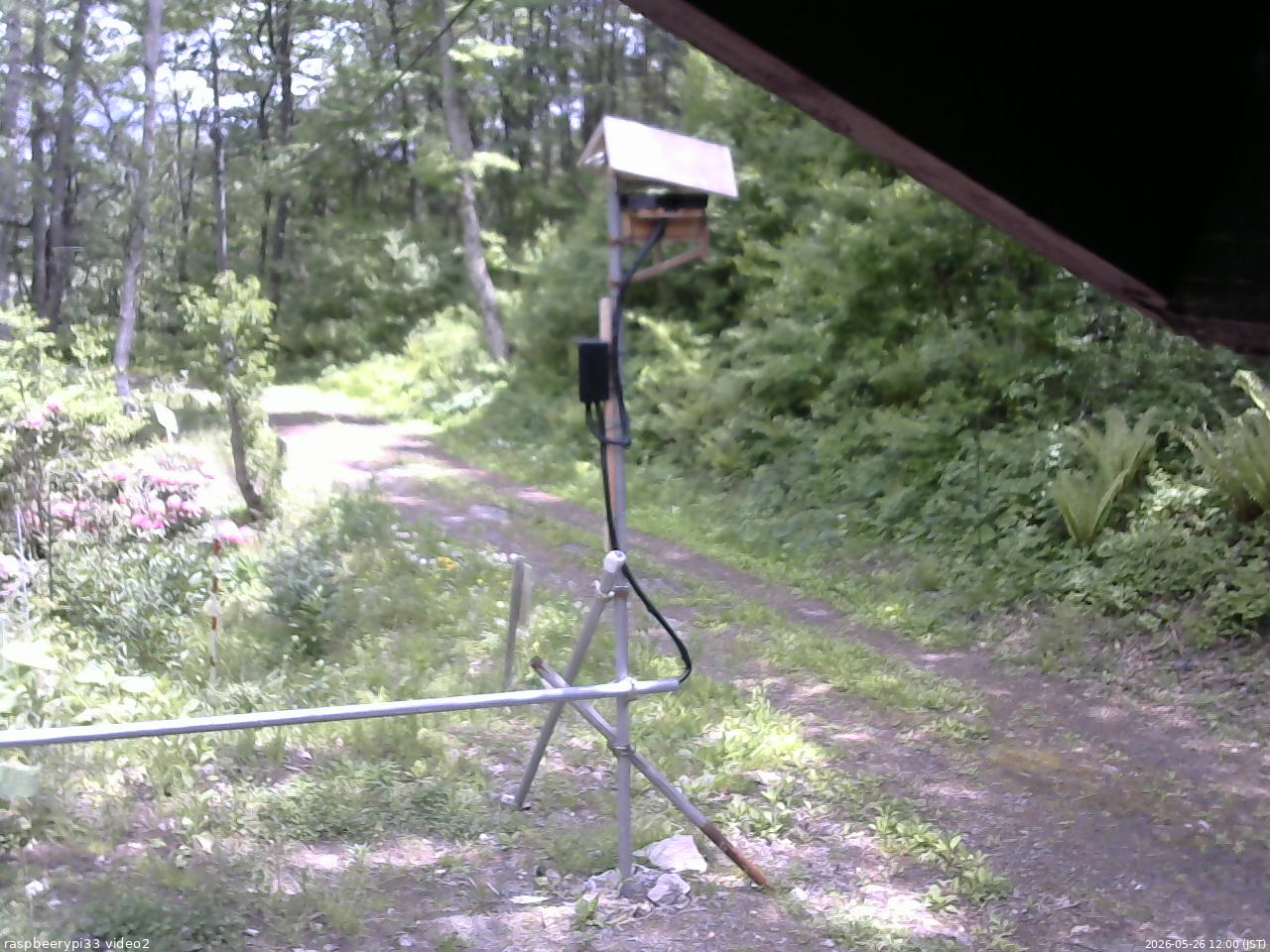 長野県菅平高原 ゆたか山荘 南側 2026/05/26 12:00