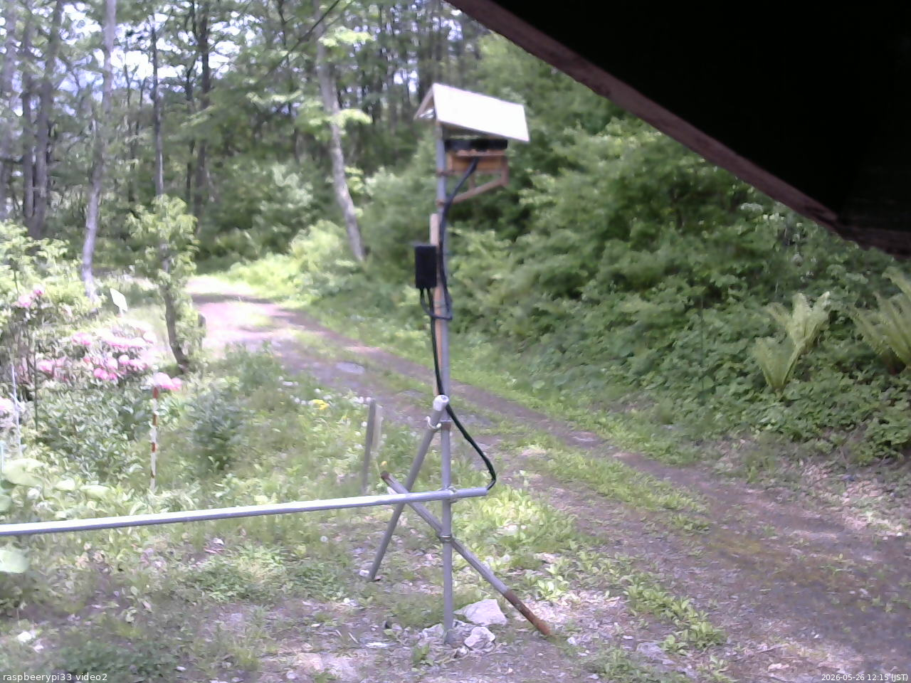 長野県菅平高原 ゆたか山荘 南側 2026/05/26 12:15