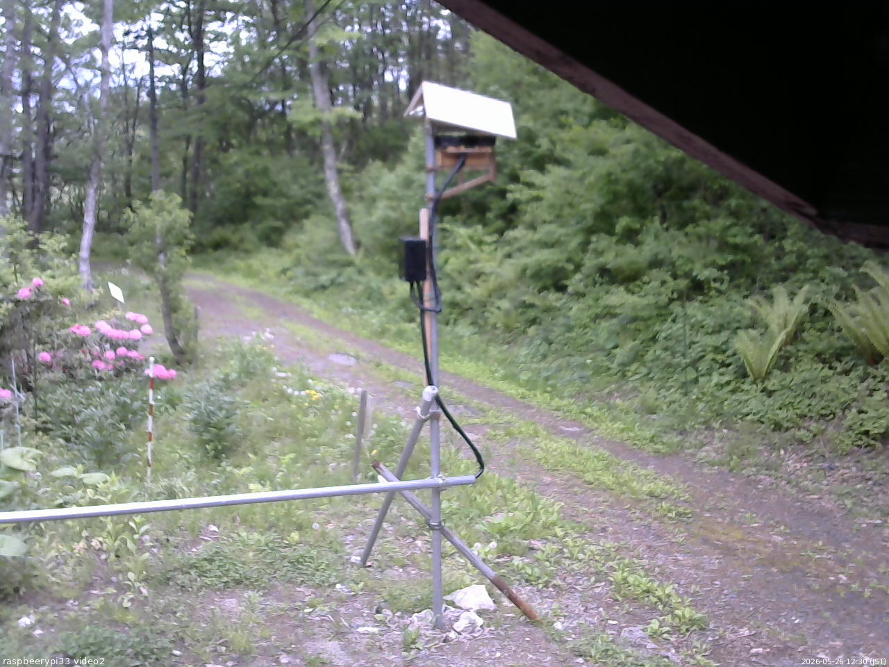 長野県菅平高原 ゆたか山荘 南側 2026/05/26 12:30