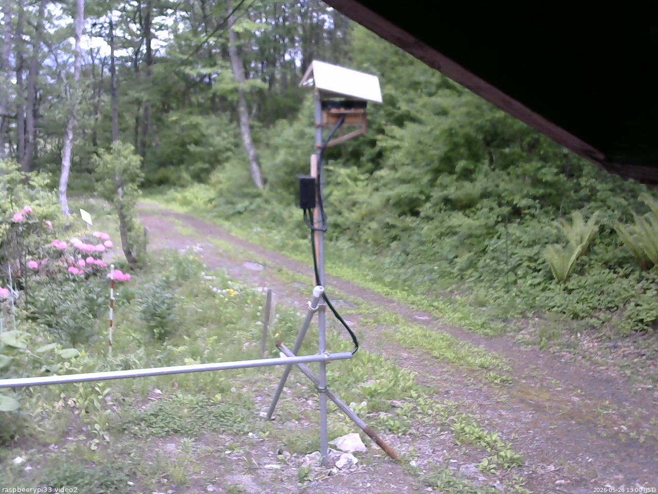 長野県菅平高原 ゆたか山荘 南側 2026/05/26 13:00