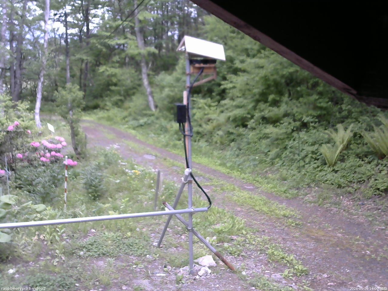 長野県菅平高原 ゆたか山荘 南側 2026/05/26 14:00