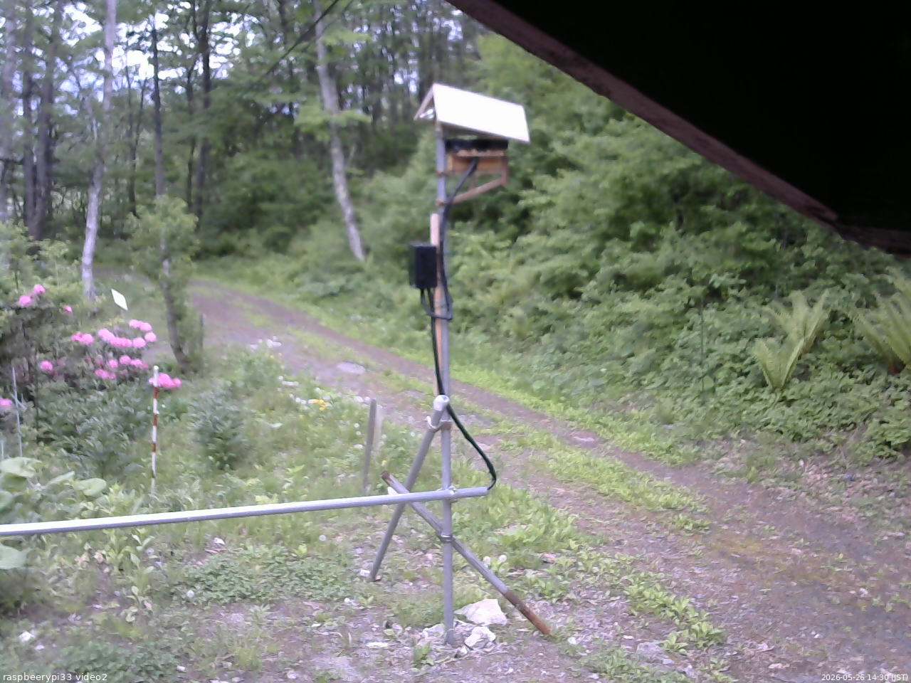 長野県菅平高原 ゆたか山荘 南側 2026/05/26 14:30