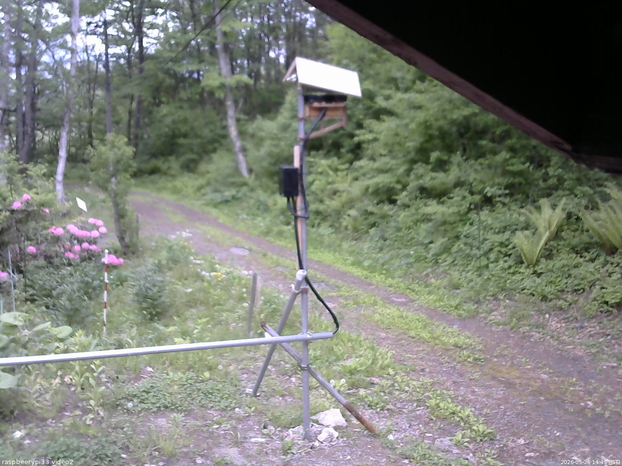 長野県菅平高原 ゆたか山荘 南側 2026/05/26 14:45