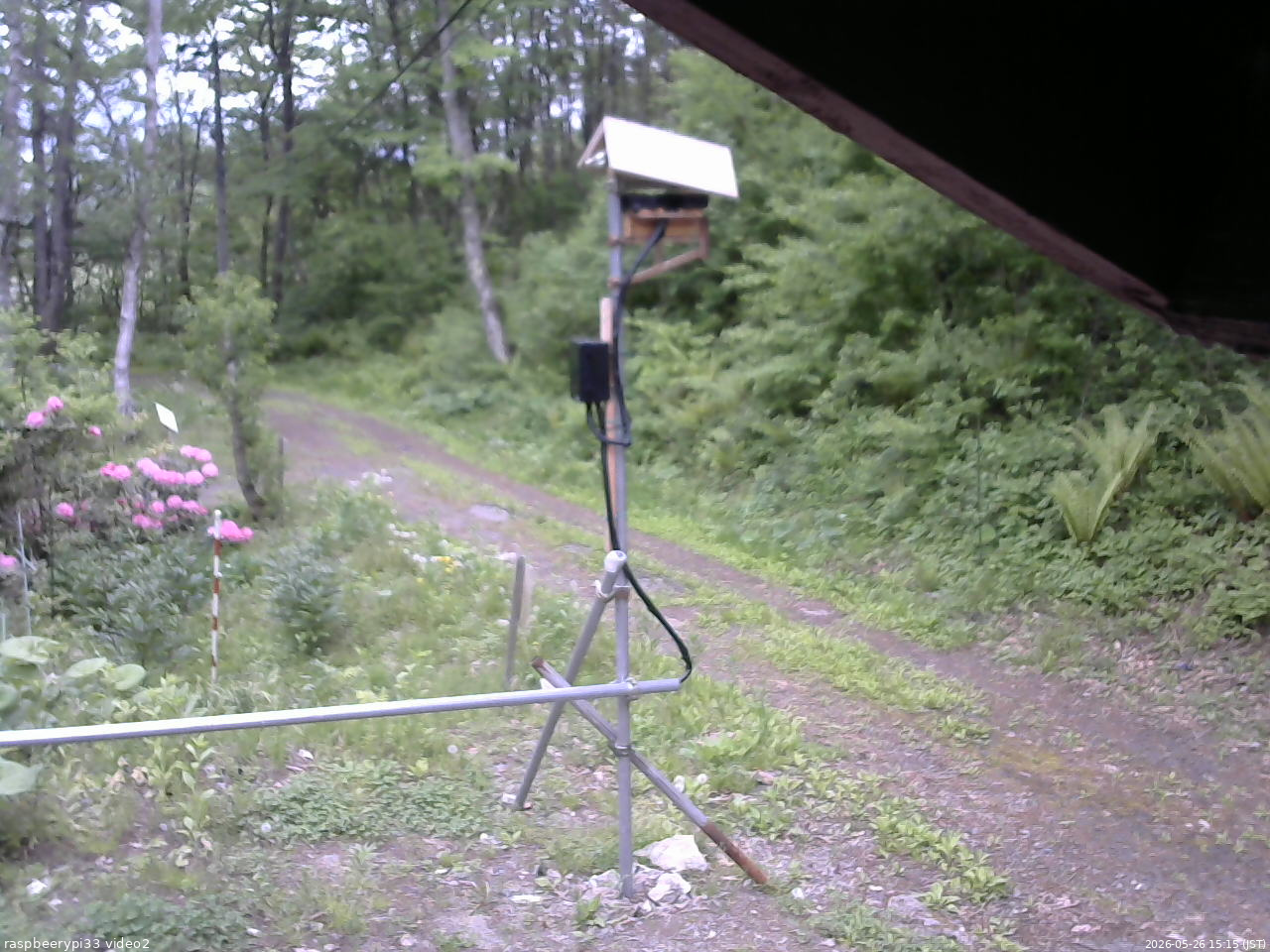 長野県菅平高原 ゆたか山荘 南側 2026/05/26 15:15
