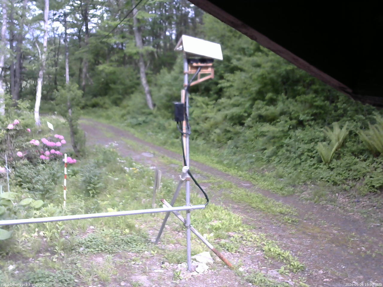 長野県菅平高原 ゆたか山荘 南側 2026/05/26 15:30