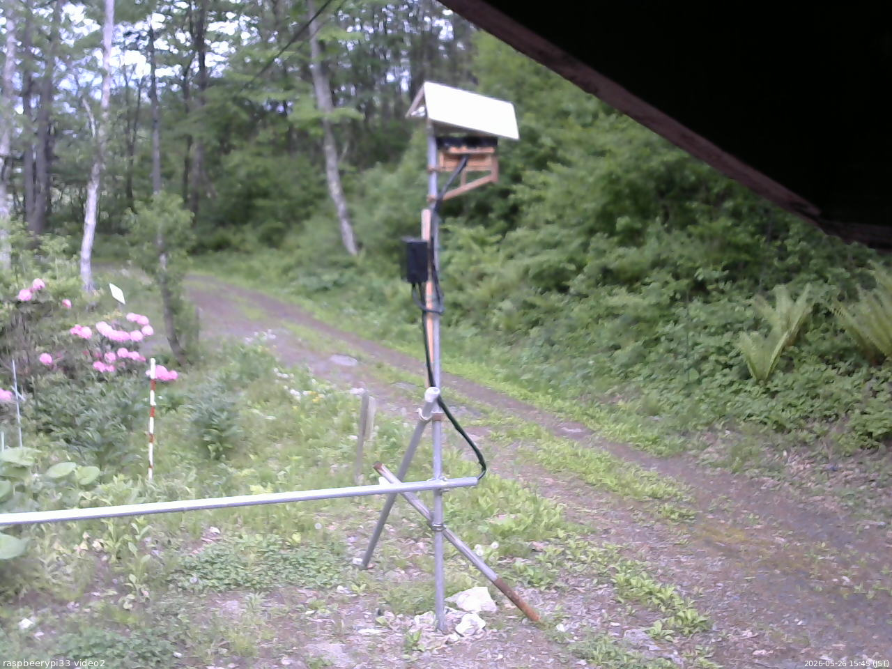 長野県菅平高原 ゆたか山荘 南側 2026/05/26 15:45