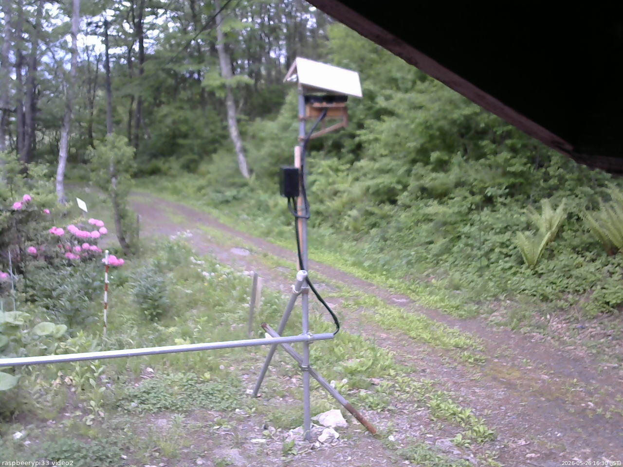 長野県菅平高原 ゆたか山荘 南側 2026/05/26 16:30