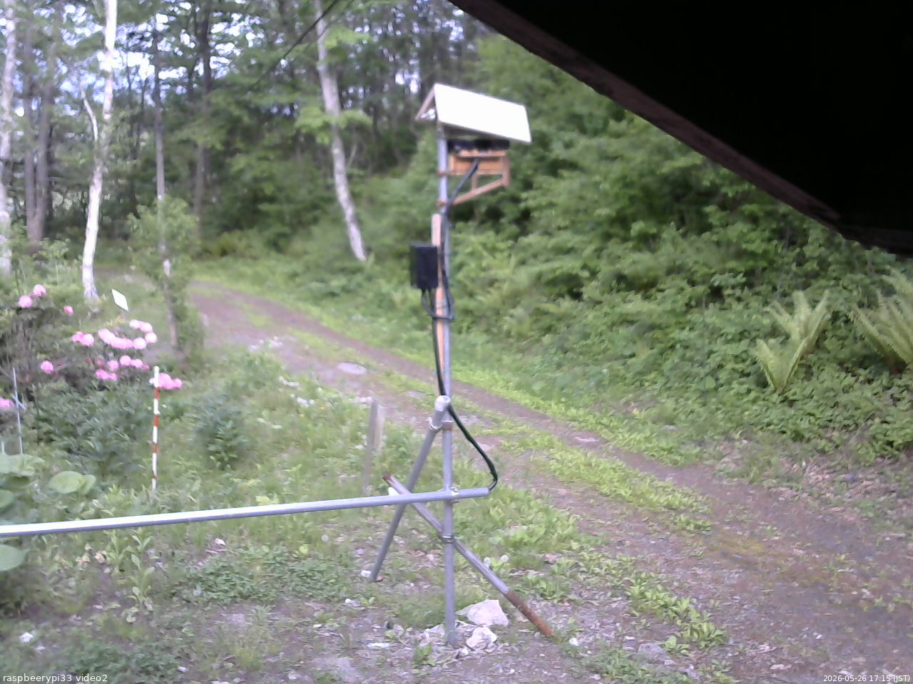 長野県菅平高原 ゆたか山荘 南側 2026/05/26 17:15