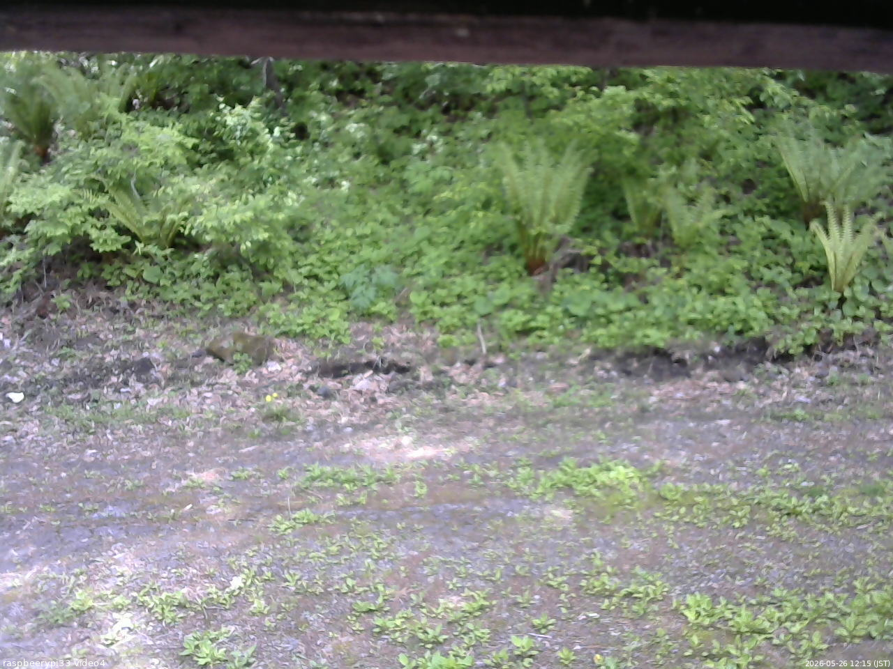 長野県菅平高原 ゆたか山荘 東側(坂下) 2026/05/26 12:15