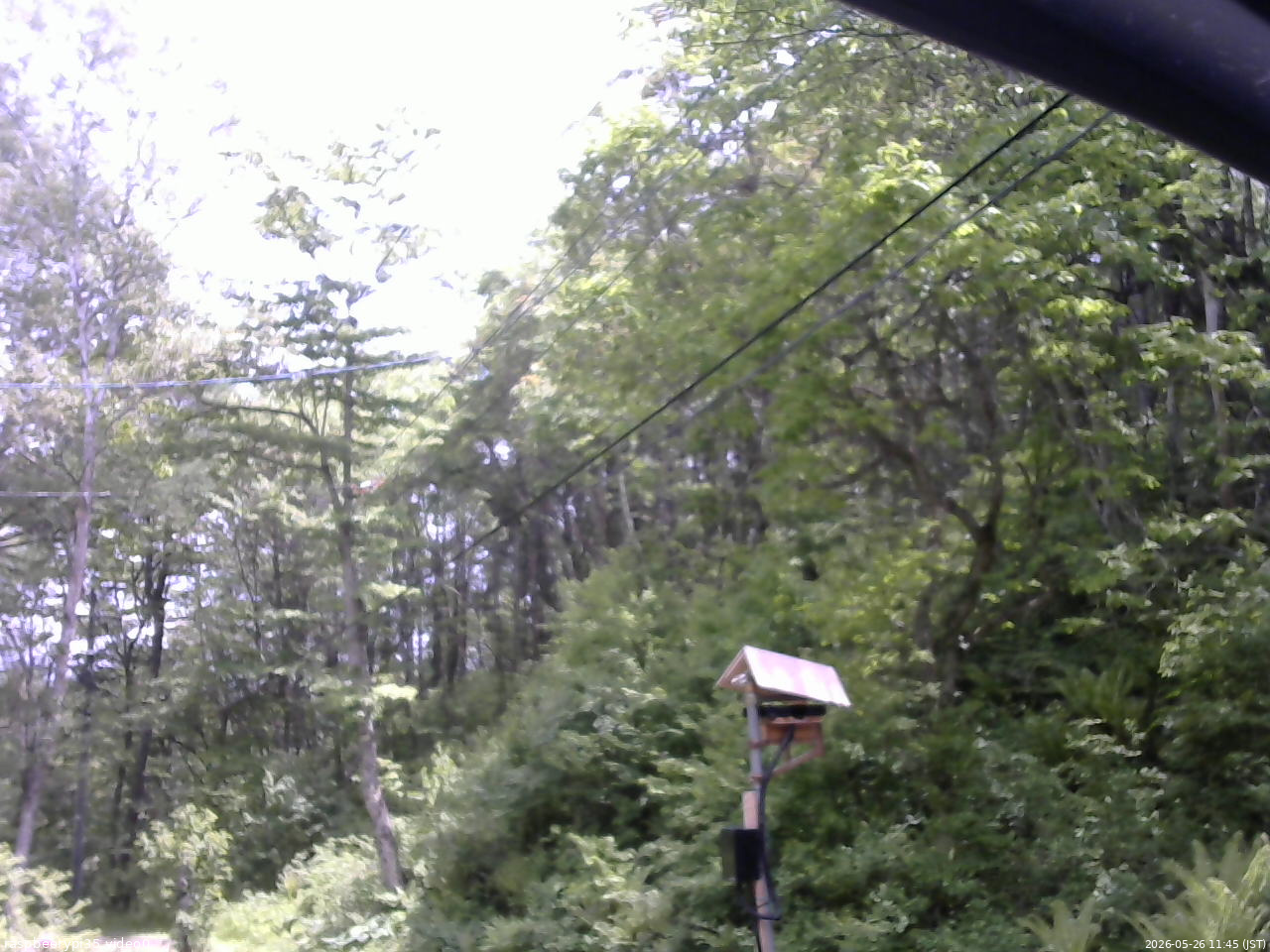 長野県菅平高原 ゆたか山荘 温度計 2026/05/26 11:45