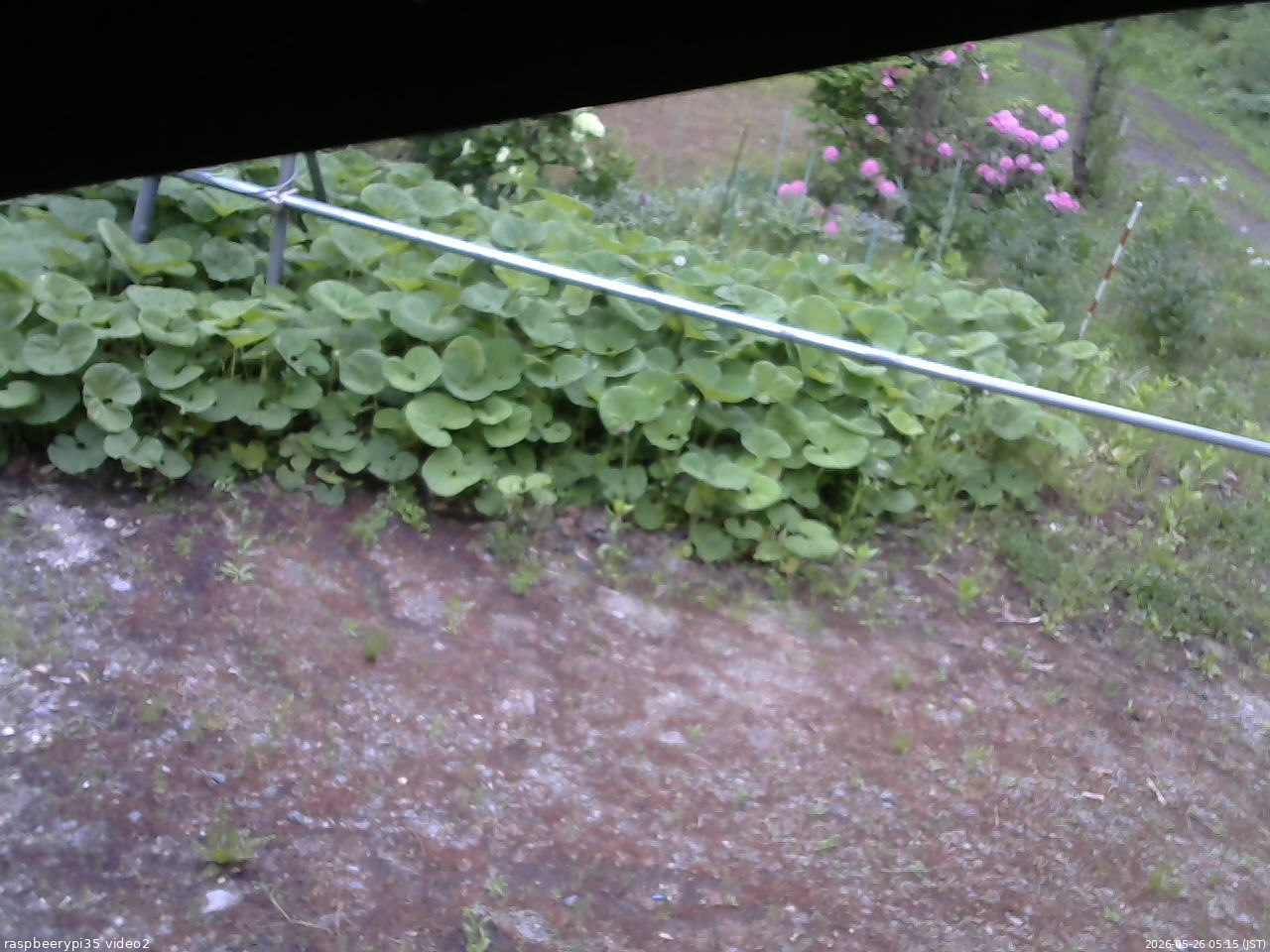 長野県菅平高原 ゆたか山荘 駐車場 2026/05/26 05:15