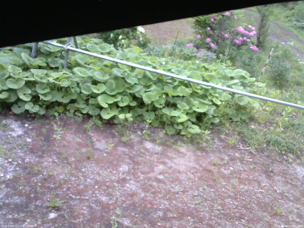 長野県菅平高原 ゆたか山荘 駐車場 2026/05/26 06:15