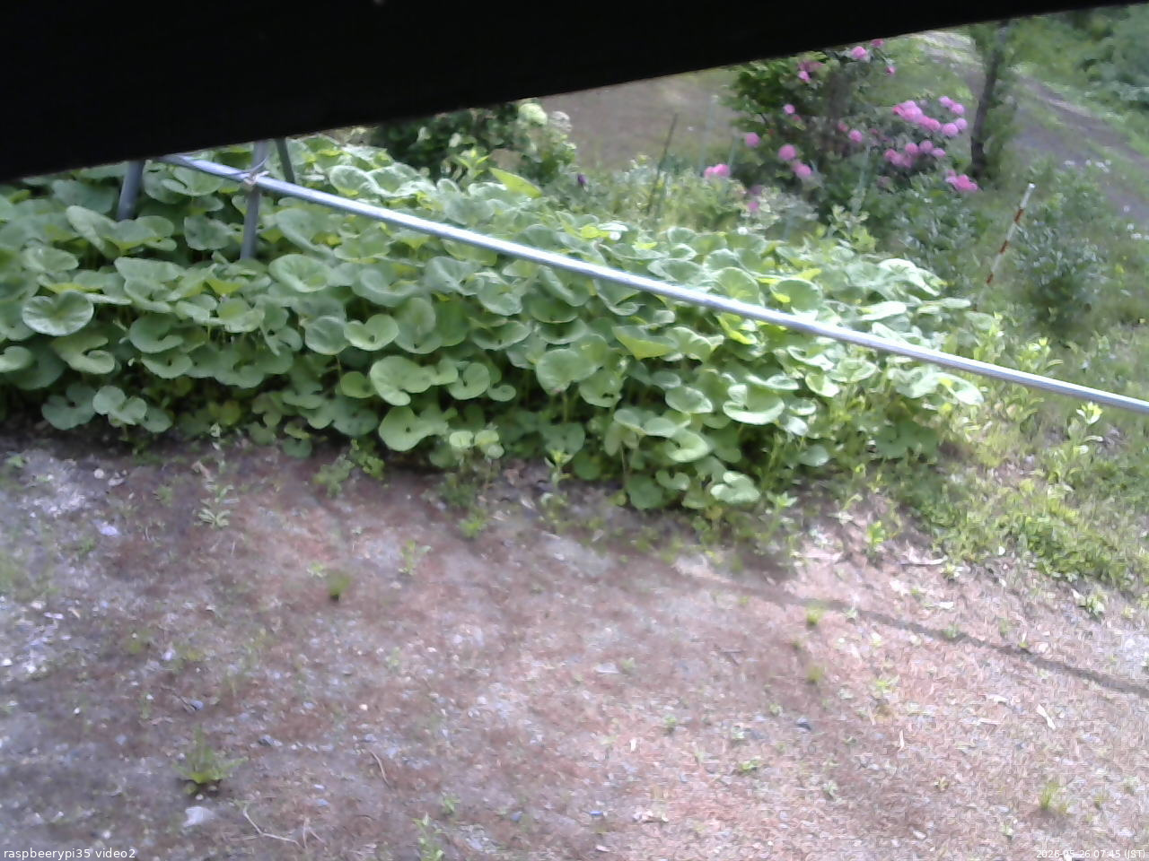 長野県菅平高原 ゆたか山荘 駐車場 2026/05/26 07:45