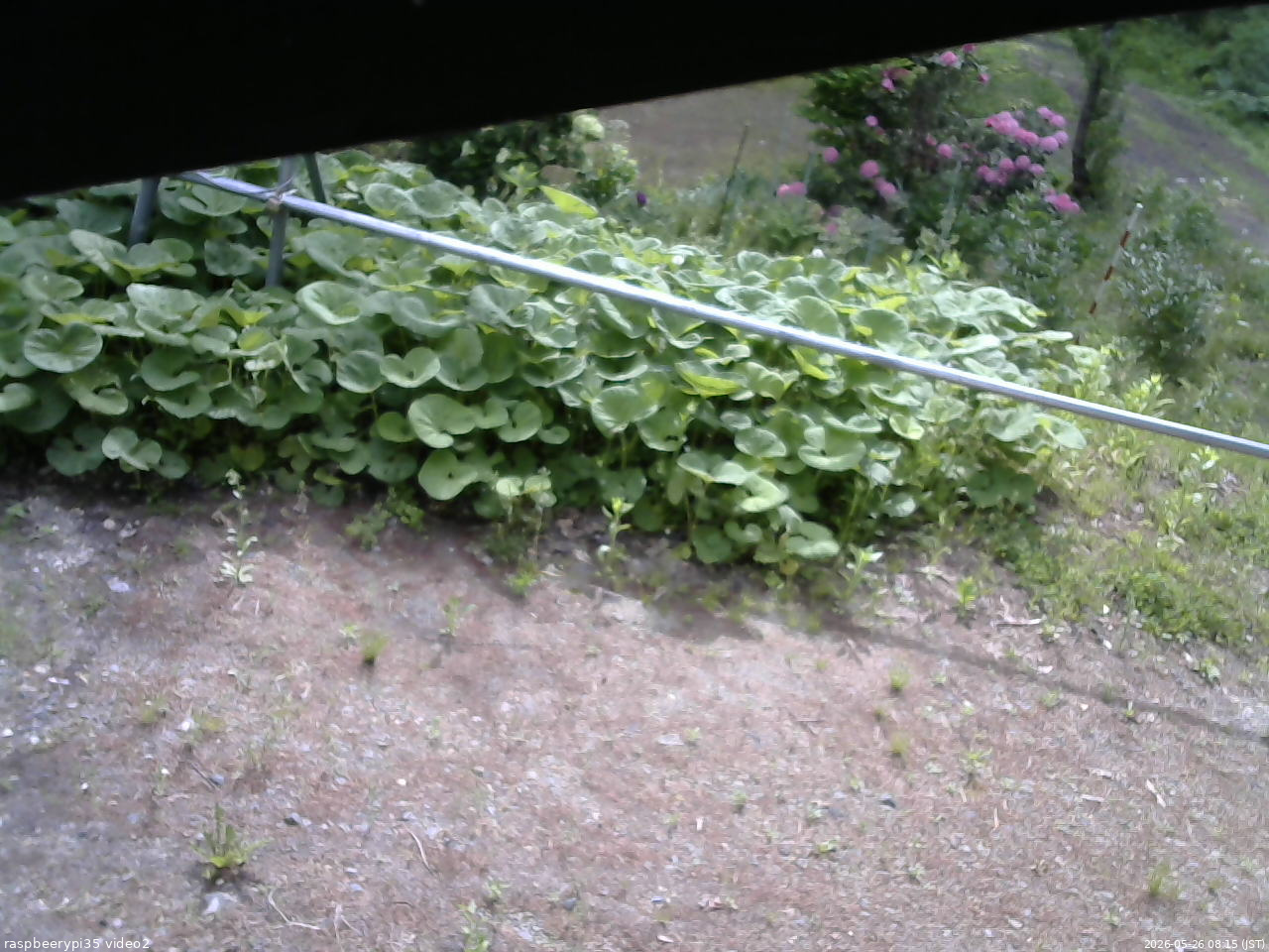 長野県菅平高原 ゆたか山荘 駐車場 2026/05/26 08:15