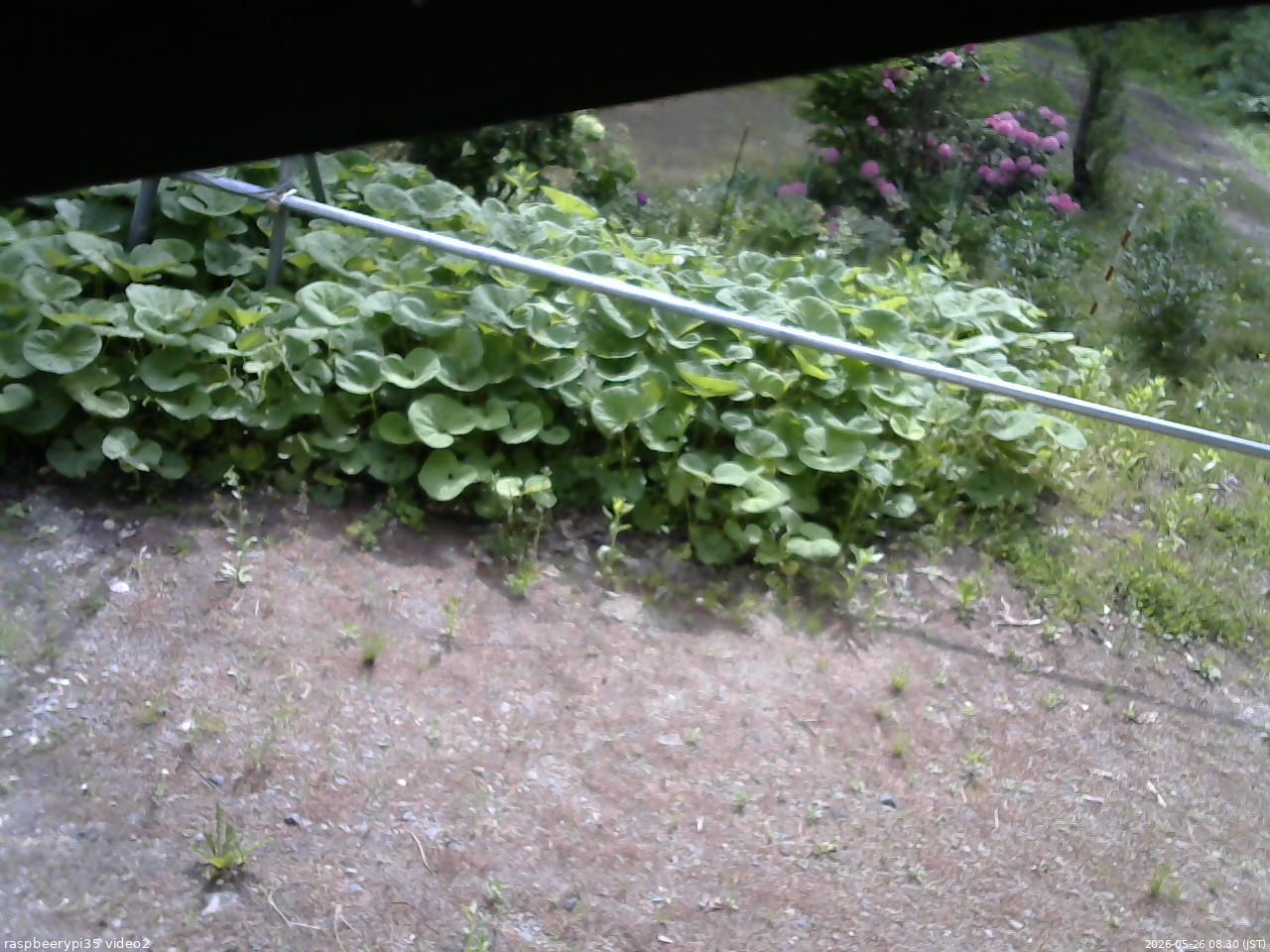 長野県菅平高原 ゆたか山荘 駐車場 2026/05/26 08:30