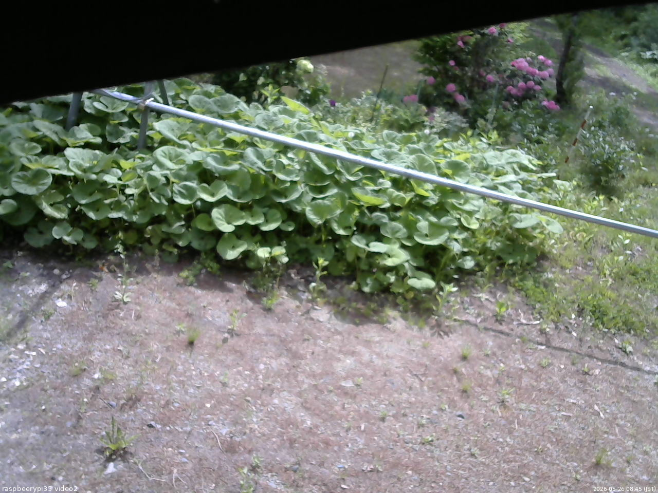 長野県菅平高原 ゆたか山荘 駐車場 2026/05/26 08:45
