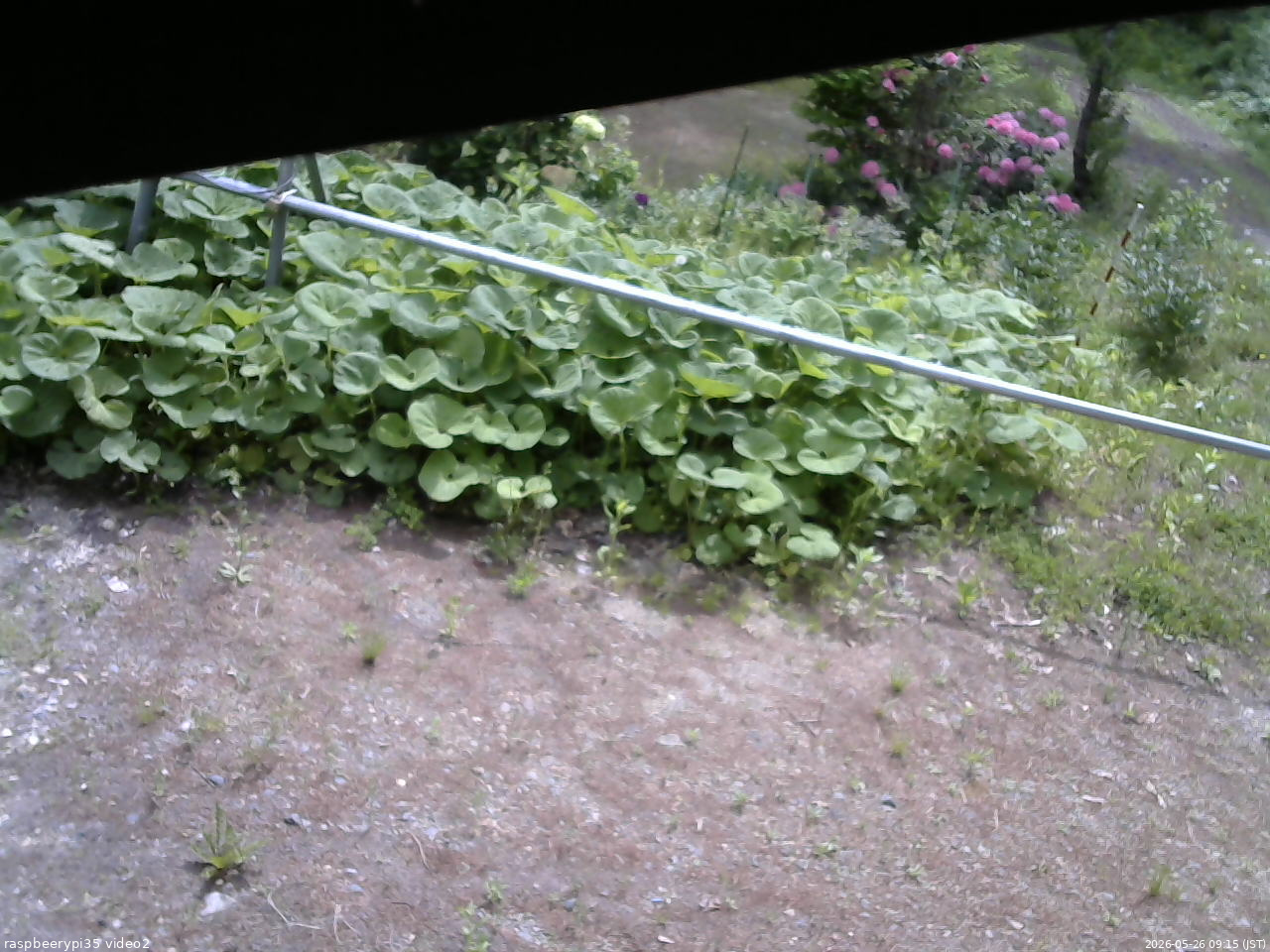 長野県菅平高原 ゆたか山荘 駐車場 2026/05/26 09:15