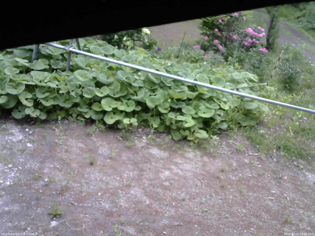 長野県菅平高原 ゆたか山荘 駐車場 2026/05/26 09:30