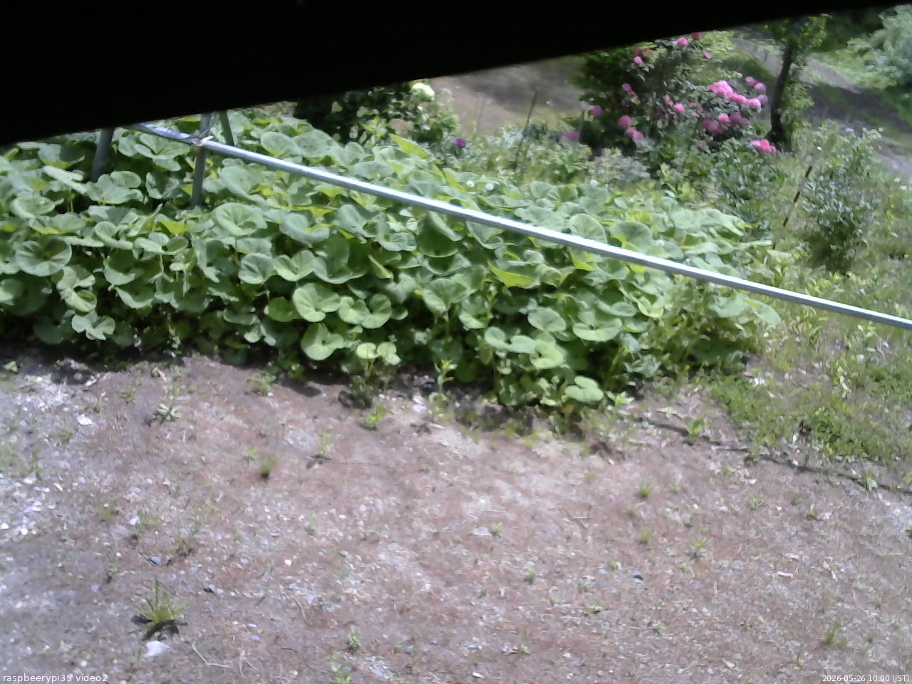 長野県菅平高原 ゆたか山荘 駐車場 2026/05/26 10:00