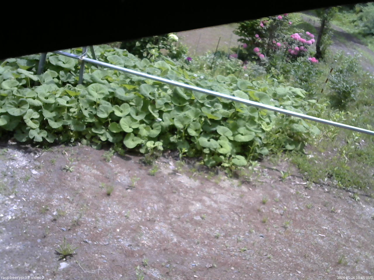 長野県菅平高原 ゆたか山荘 駐車場 2026/05/26 10:45