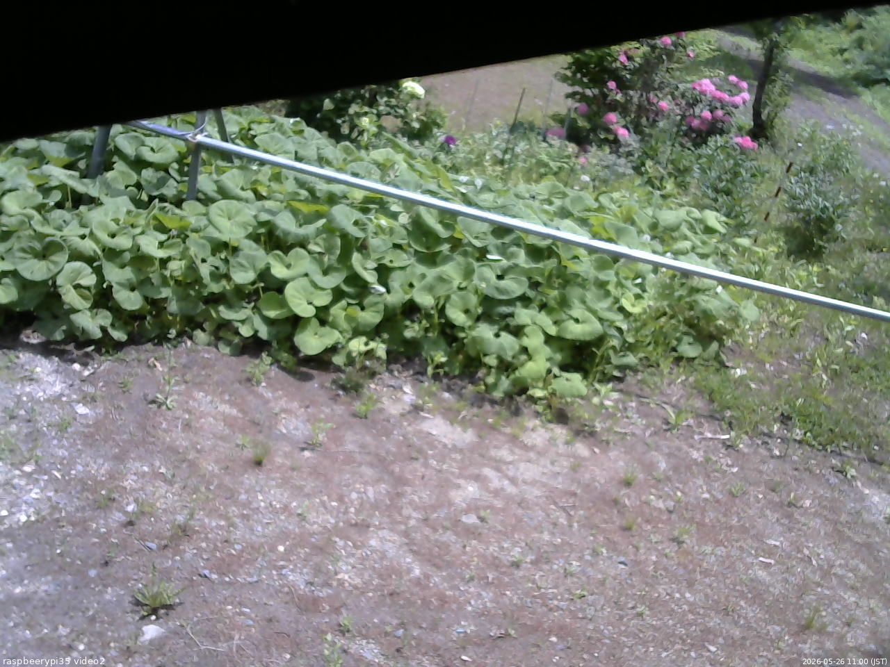 長野県菅平高原 ゆたか山荘 駐車場 2026/05/26 11:00