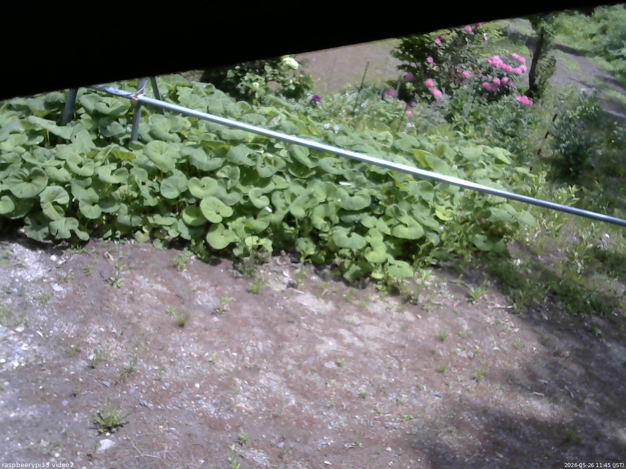 長野県菅平高原 ゆたか山荘 駐車場 2026/05/26 11:45