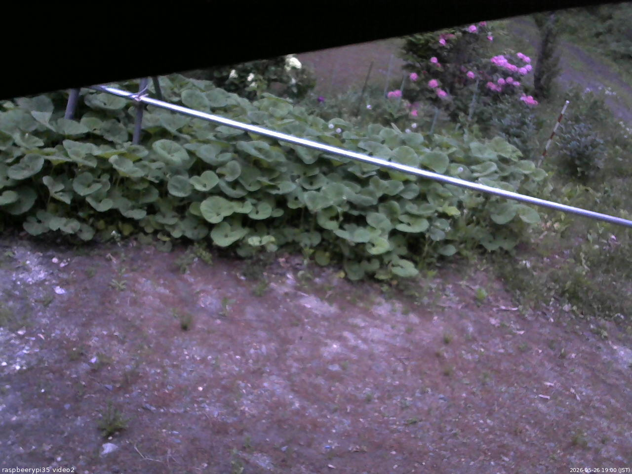 長野県菅平高原 ゆたか山荘 駐車場 2026/05/26 19:00