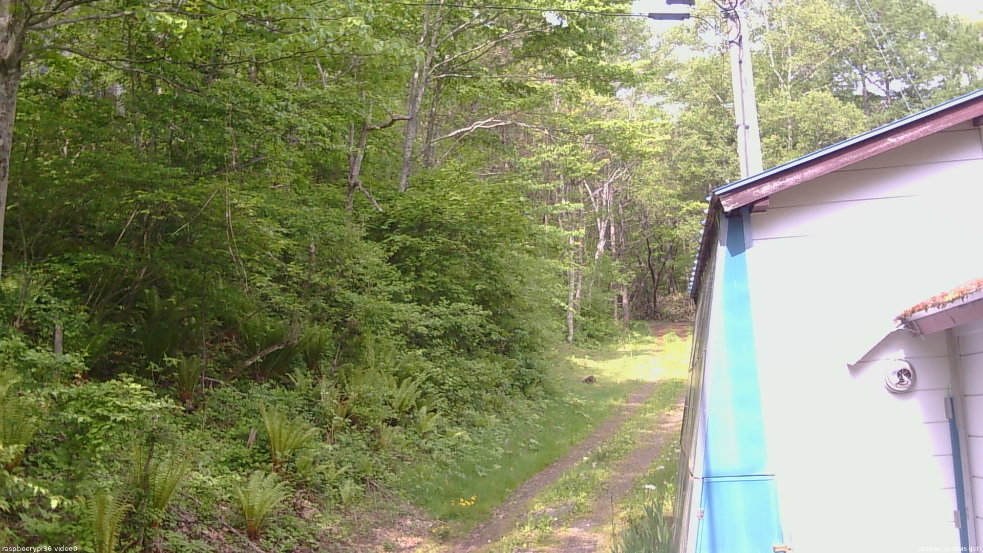 長野県菅平高原 ゆたか山荘 ゆたか山荘 2026/05/26 08:45